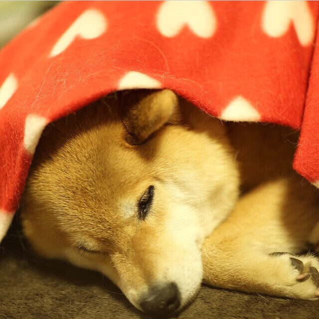 欧洲杯激烈角逐:战术层层推进,精彩纷呈,欧洲杯进阶