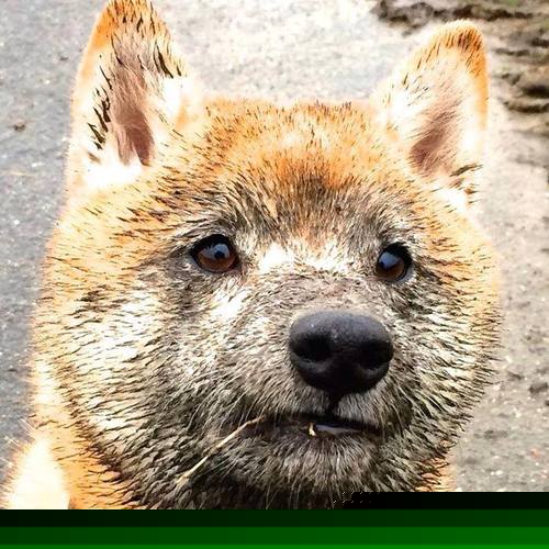 AYX体育-欧洲杯淘汰赛：破门瞬间的惊喜与感动，欧洲杯淘汰赛赛程公布