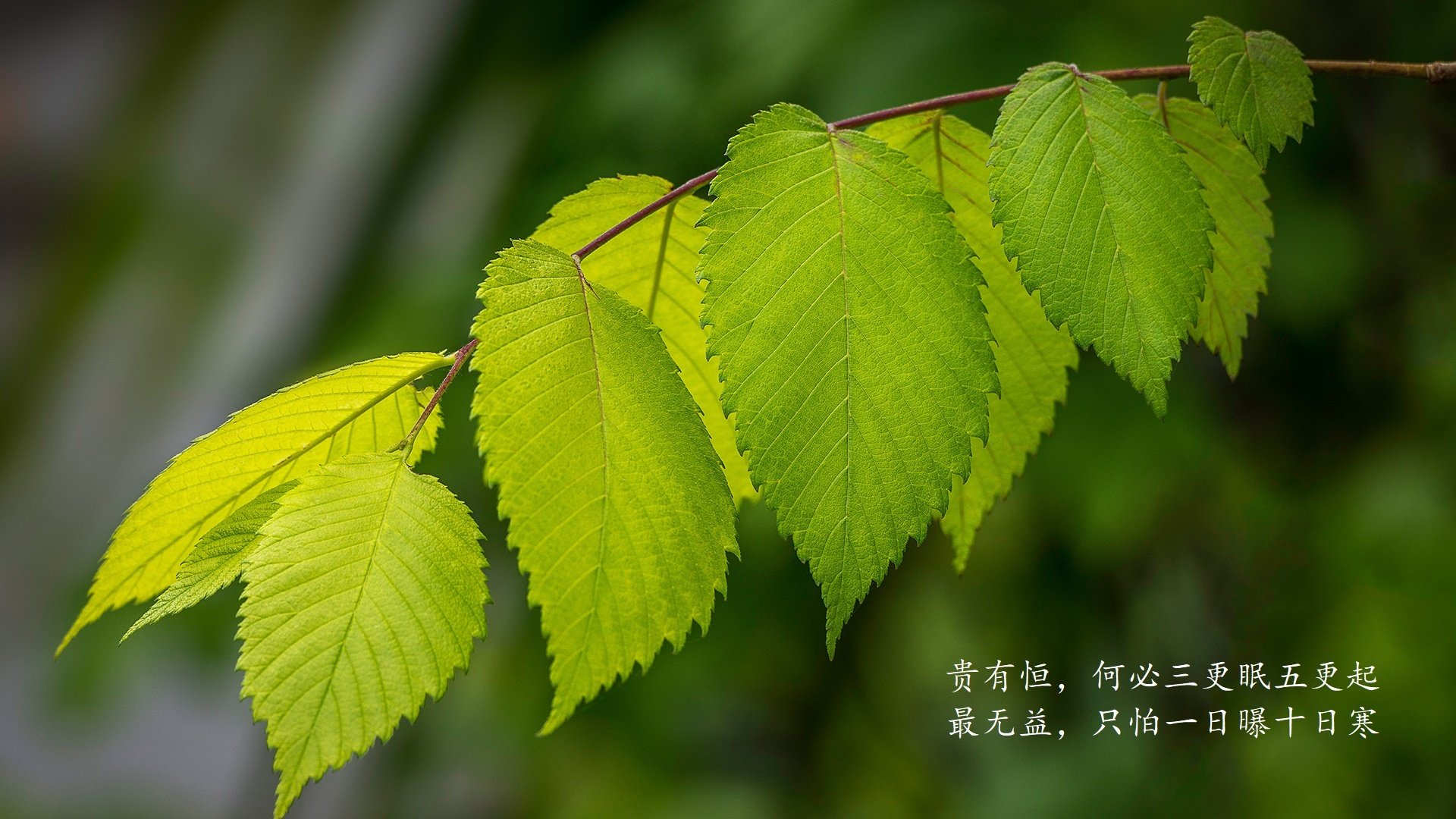 《Dota 2国际邀请赛，OG再度夺冠领跑电竞历史》，dota 2国际邀请赛英雄联盟全球总决赛
