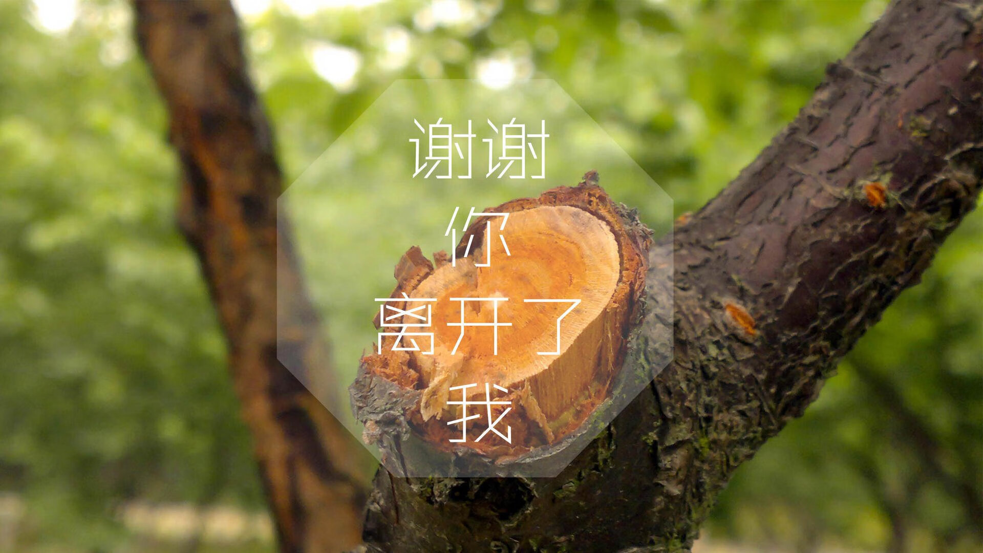巴利亚多利德凭借制胜球豪取胜利，球队士气大振，巴利亚多利德对毕巴