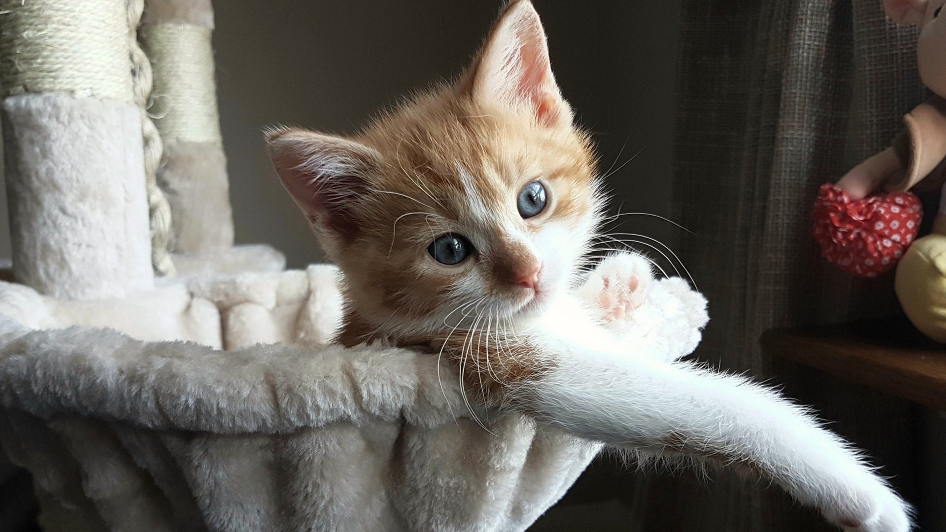 AYX GAMING-雷霆队快船队焦点战告负，近期状态不佳，雷霆vs快船西部半决赛