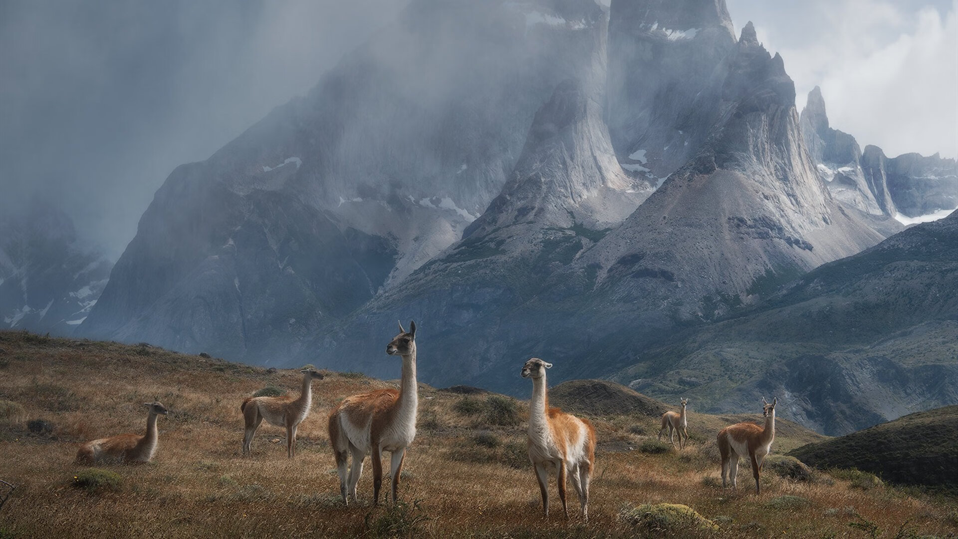 AYX SPORTS-智慧健身房标准化管理与用户体验研究，智慧健身房标准化管理与用户体验研究论文