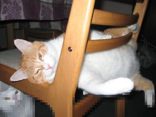 AYX体育-篮球专项技能动作精准度训练新方法，篮球技能展示动作