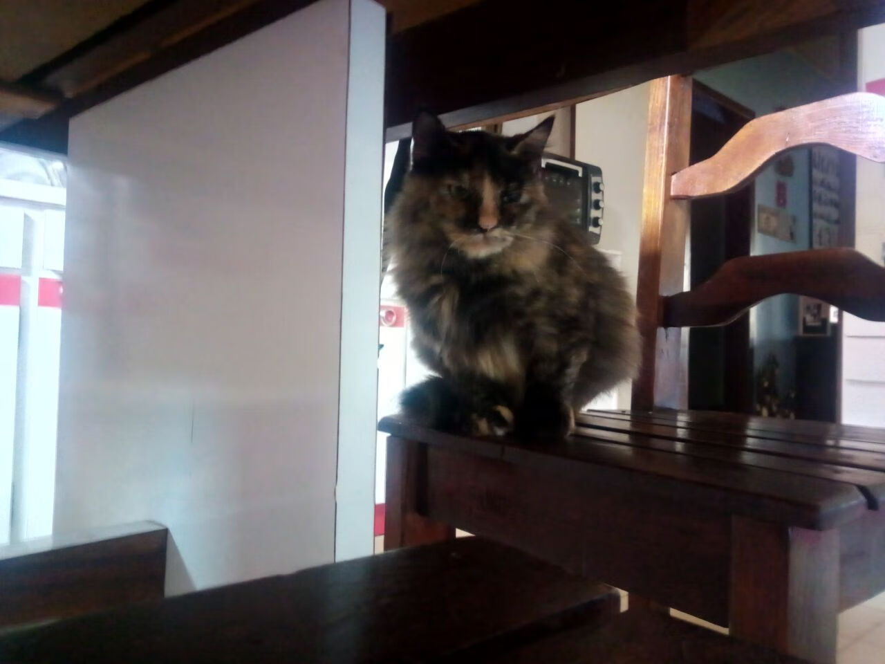 英超球队基于运动表现数据调整赛中体能分配策略，英超球员跑动数据