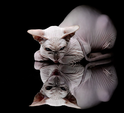 三分与突破结合最好的得分手,突破三分半