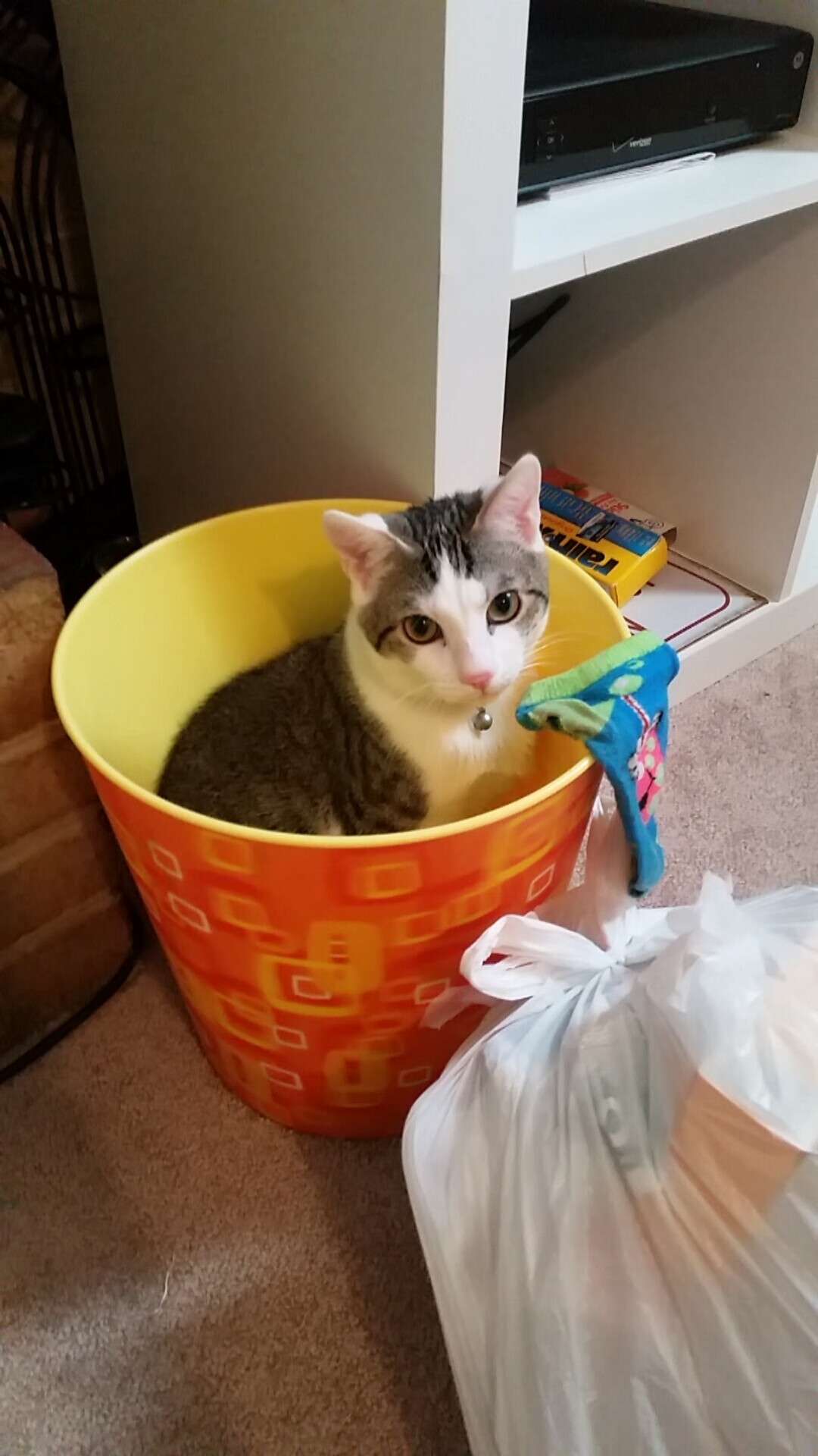 爱游戏体育官方网站-五大联赛裁判争议判罚对比赛走势的潜在影响，五大联赛裁判薪资