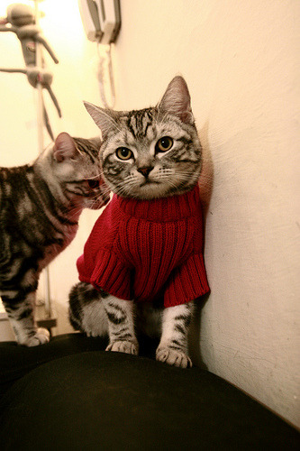 全国高校体育解说大赛挖掘新生代人才，体育赛事解说员有哪几位