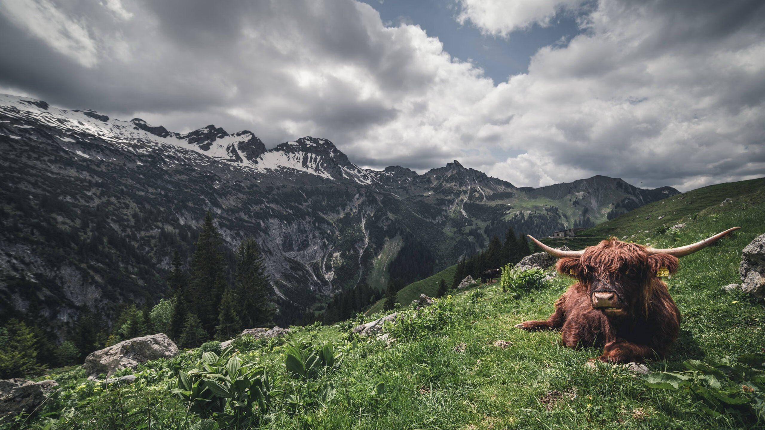 校园足球赛事延伸至寒暑假期间,校园足球联赛竞赛规程