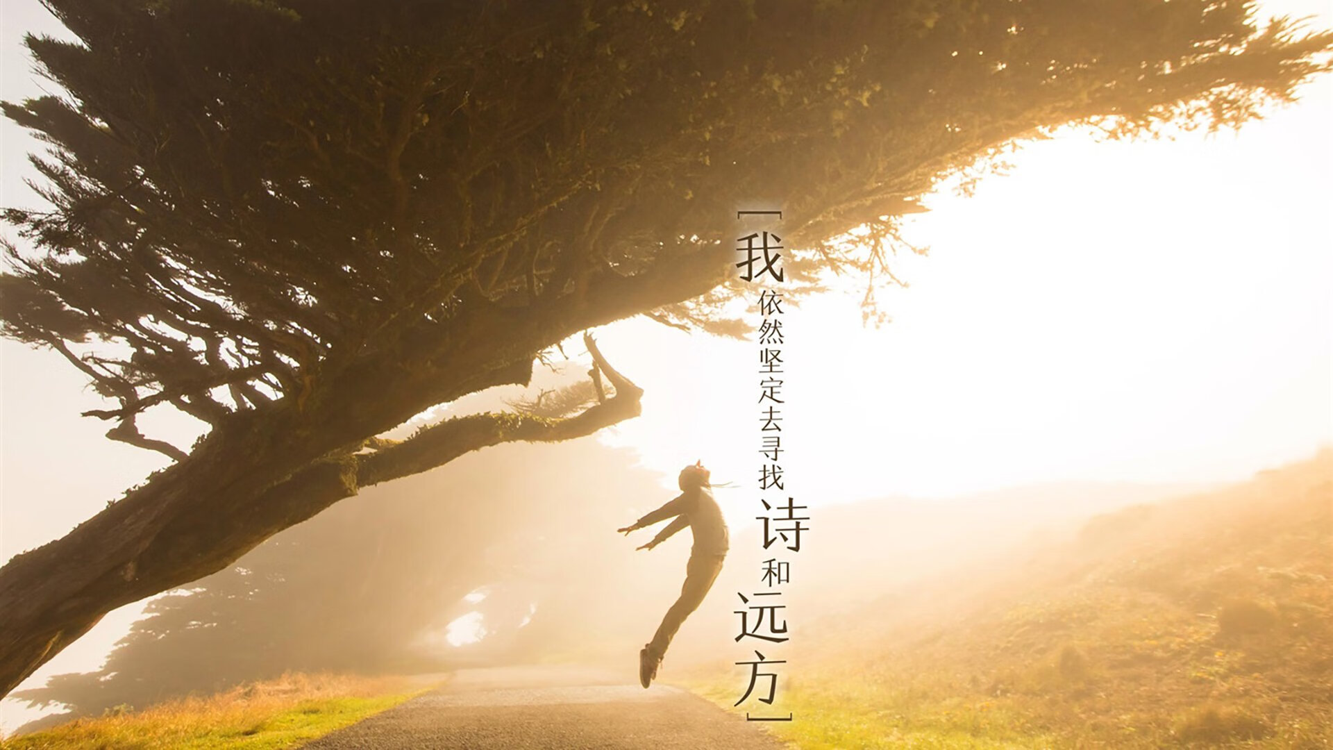 中国足球联赛优化球场周边城市交通协同计划，中国足球场地