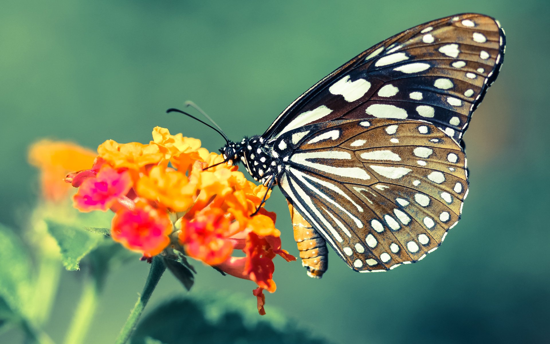 爱游戏体育app-勇士分享教练与球员间爆笑训练互动，勇士分享教练与球员间爆笑训练互动文案