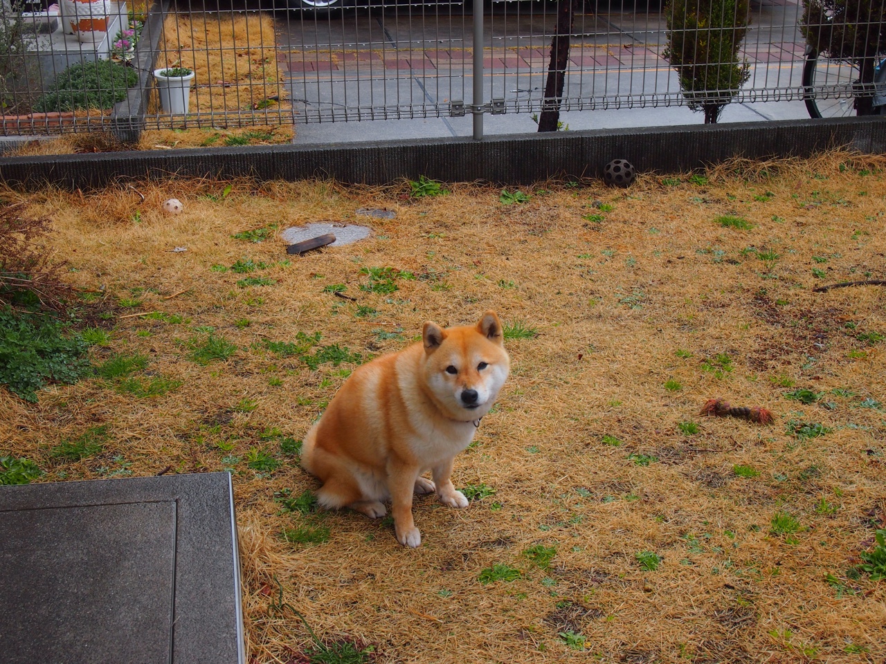 青训系统引入自评报告制度培养球员反思能力与职业意识，青训个人训练