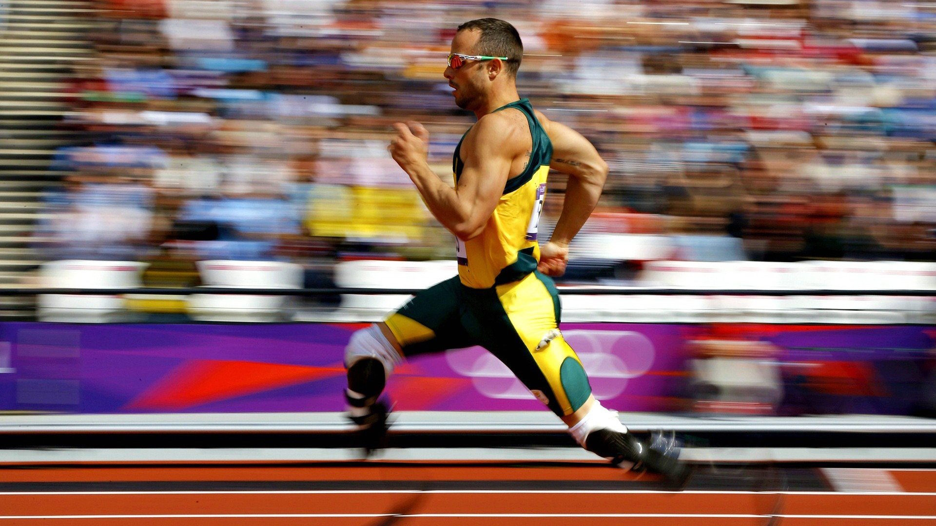 “我们用热情融化寒冷”——塞内加尔球迷雪中齐跳萨布尔舞，塞内加尔运动员